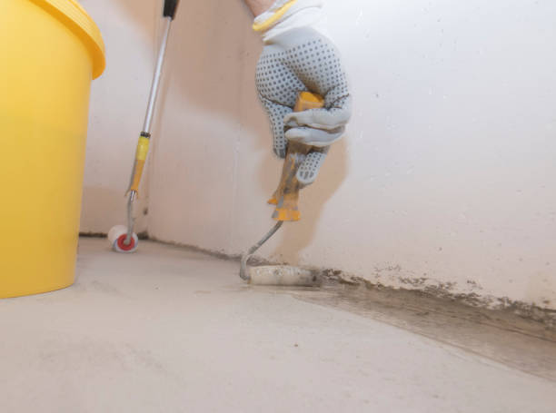 Best Bed Bug Extermination  in Bloomington, CA